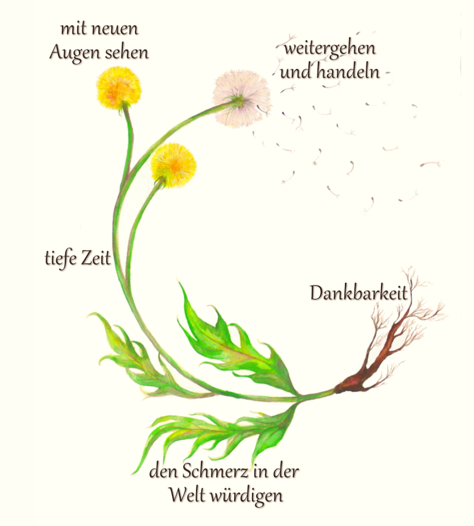 Der Spirale im Prozess folgen